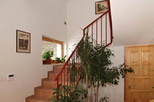 Liszt Apartman Pécs Eksteriør bilde